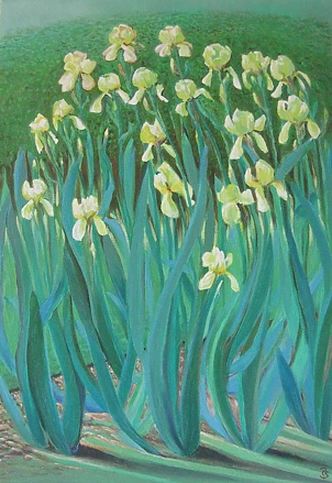 Piotr Surma - Irises