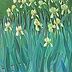 Piotr Surma - Irises