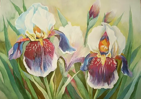 Stanisław Górski - Irysy