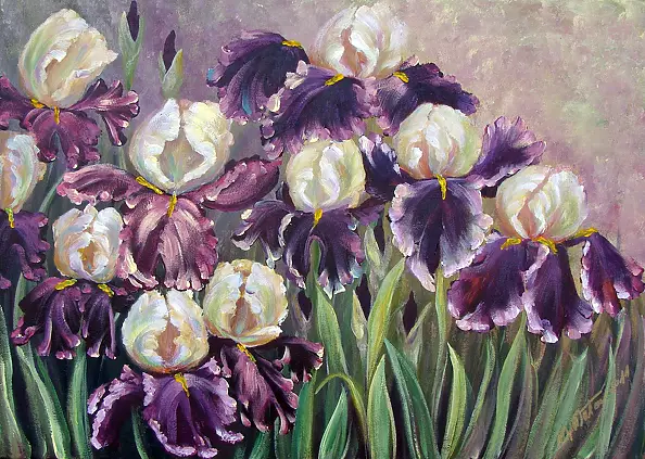 Małgorzata Mutor - Irises from Hamburg
