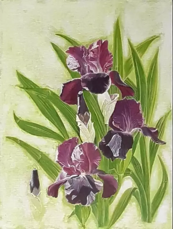 Aleksandra Kurzyńska - Irysy z ogrodu