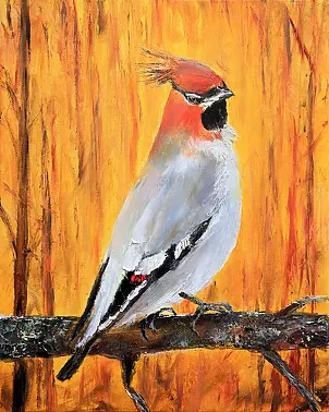 Radosław Popek - JEMIOŁUSZKA - PTAKI POLSKIE