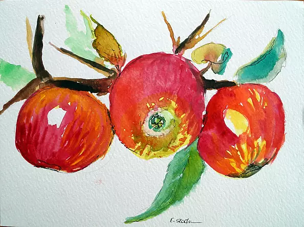 Ewa Słodzińska - Apples