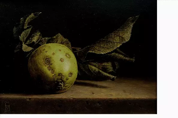 Maciej Cichocki - Jabłko