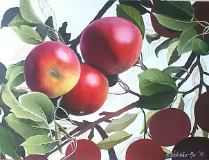 Marta Wideńska - apples