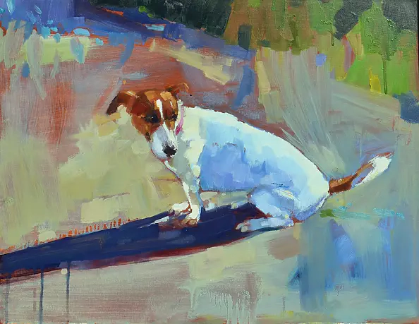 Doma Suszczyńska - Jack Russell Terrier
