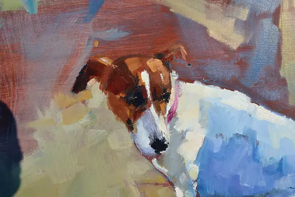 Doma Suszczyńska - Jack Russell Terrier