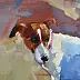 Doma Suszczyńska - Jack Russell Terrier