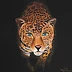 Patrycja Odzimkowska - Jaguar 