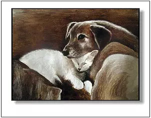 Jolanta Dusza - Jak pies z kotem...