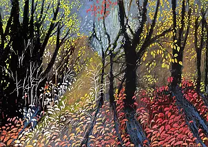 Angelika Mus Nowak - Jak zatrzymać kolory?