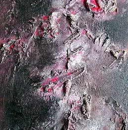 Jacek Kamiński - Japan Alien