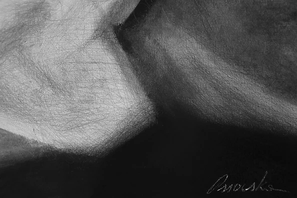 Kamila Ossowska - Jarzmo iluzji