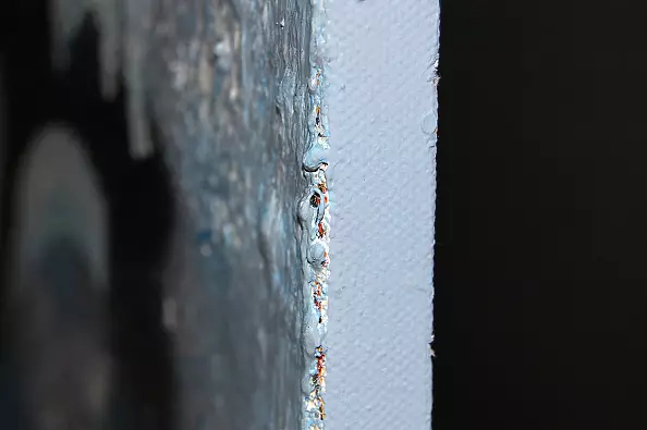 Amelia Augustyn - Swallow