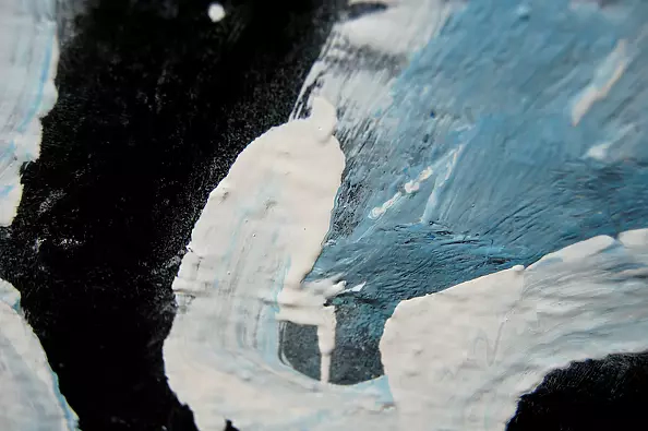 Amelia Augustyn - Swallow