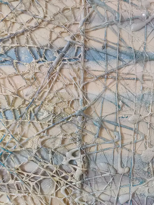 Aldona Zając - eye Sahara