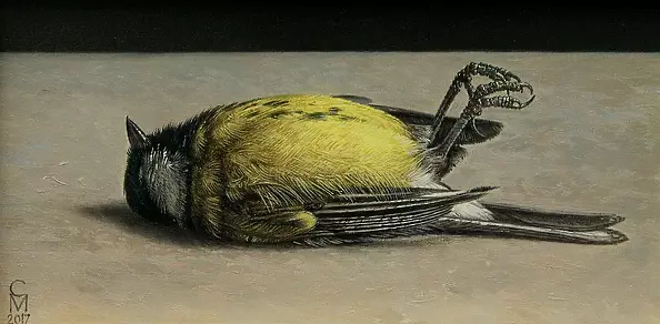 Maciej Cichocki - One