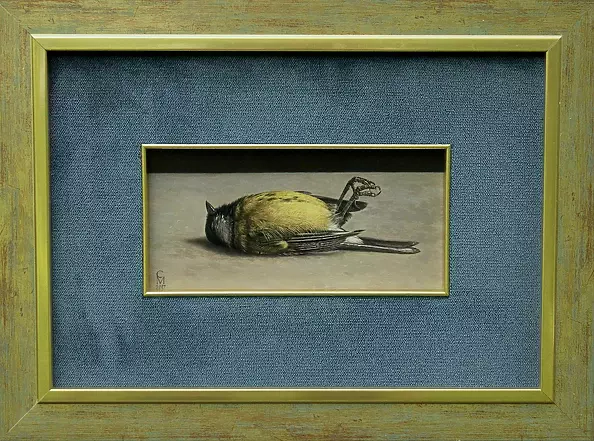 Maciej Cichocki - One