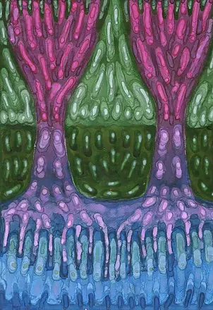 Wojtek Kowalski - Unity