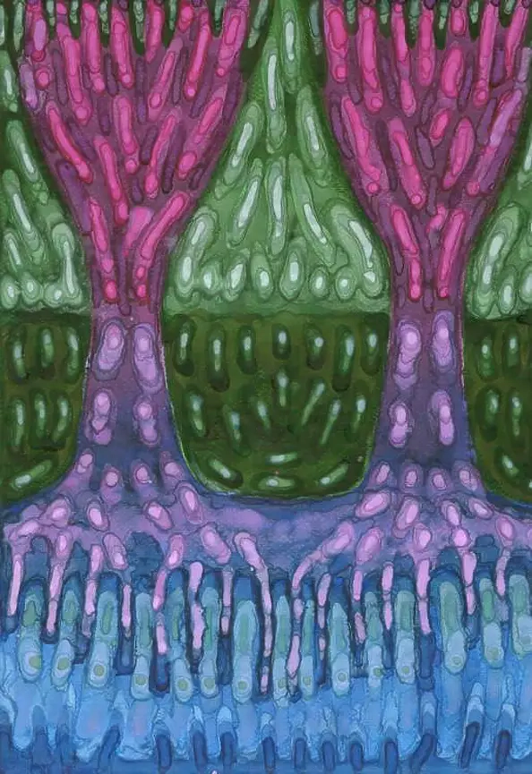 Wojtek Kowalski - Unity