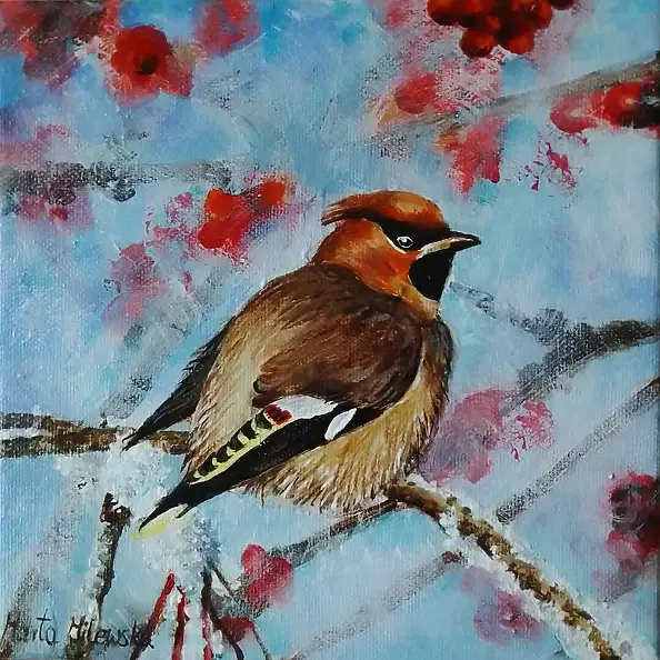 Marta Milewska - Waxwing