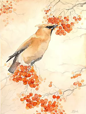   - Waxwing the roan-tree