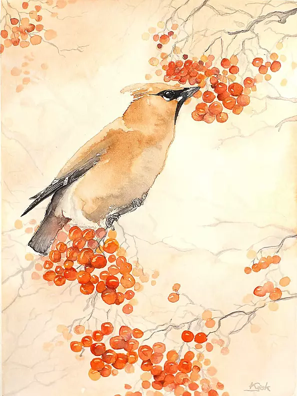 Karolina Kijak - Waxwing the roan-tree