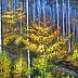 Janusz Gibas - Autumn leaves sur la forêt