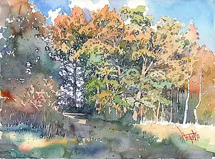   - Autumn in Bukowiec