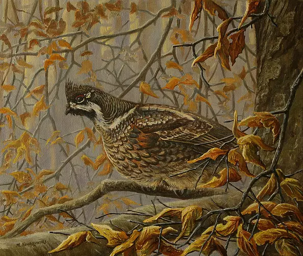 Michał Nowakowski -  autumn impression