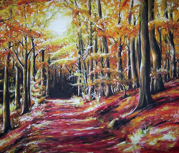 Andrzej Myśliwiec - Autumn beeches