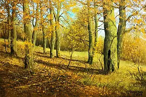Marek Szczepaniak - Autumn beeches