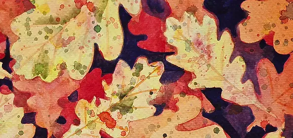 Danuta Kolis - Watercolor - Autumn leaves