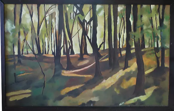 Bożena Siewierska - autumn forest