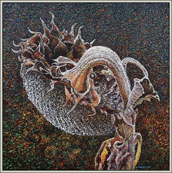 Marek Chomczyk - Jesienny słonecznik