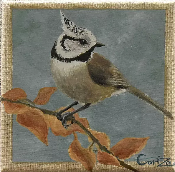 Izabela Dąbrowska - There is such a bird: Crested dog