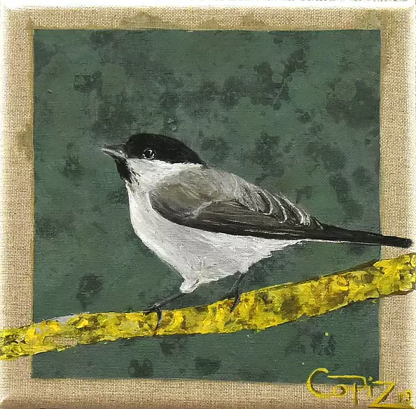 Izabela Dąbrowska - Jest taki ptak: Sikorka uboga