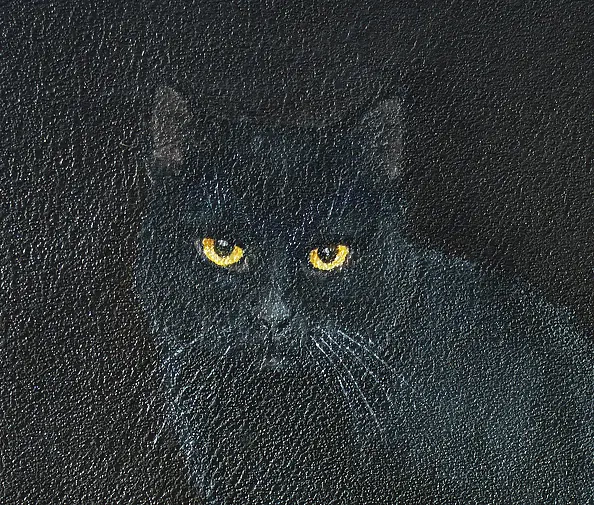 Nataliya Bagatskaya - It's cold