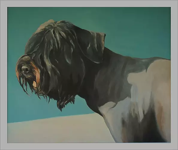 Konrad Knorowski - Jestem