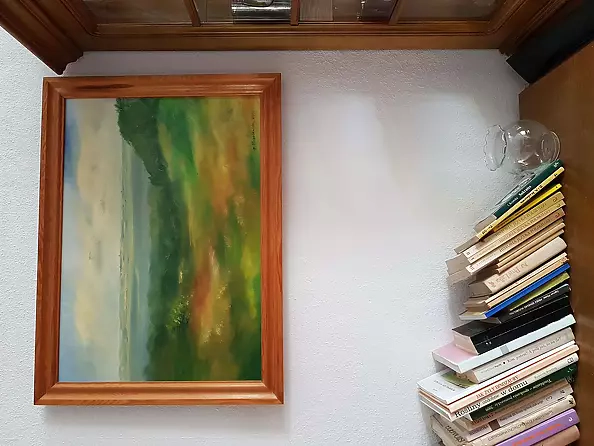 Bożena Mozolewska - Lake Dąbie from Nehringa Street