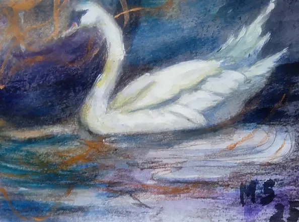 Marzena Salwowska - Swan Lake before dawn