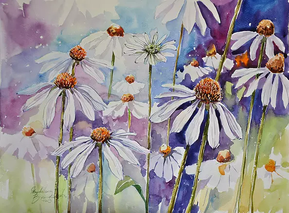 Magdalena Bronakowska - Jeżówki