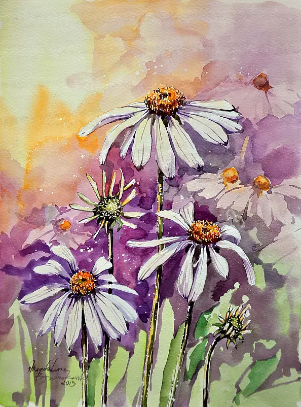 Magdalena Bronakowska - Jeżówki