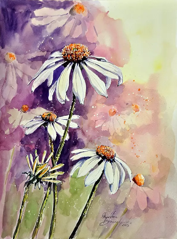 Magdalena Bronakowska - échinacée
