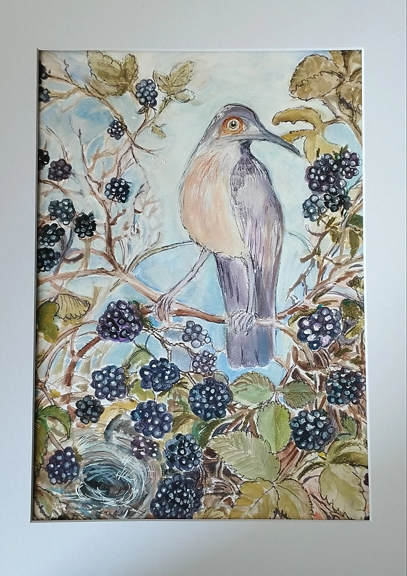 Monika Sobkowicz - Jeżynowe zacisze