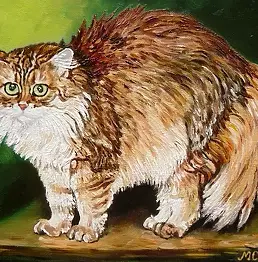 Małgorzata Chorab - Joko