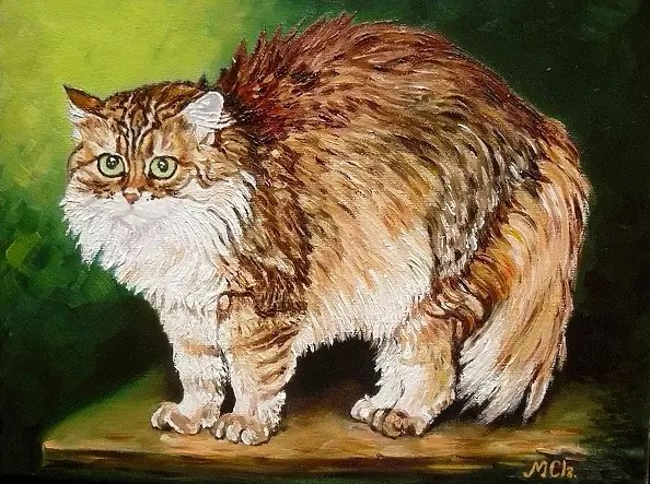 Małgorzata Chorab - Joko