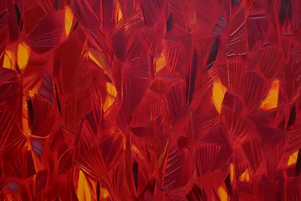 Katarzyna Zygadlewicz - Joshua Tree