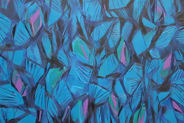 Katarzyna Zygadlewicz - Joshua Tree