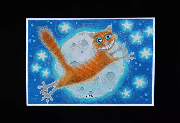 Paulina Rogalska - joyful kitten
